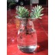 Aqua Culture Vase L