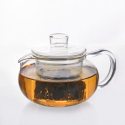 Kyusu Kiyomi Teapot 300 ml with Glass Infuser