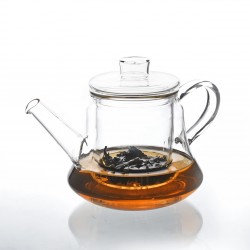 Agnisa Teapot 500 ml with Glass Infuser