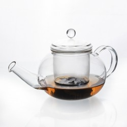Danube Teapot 500 ml with Glass Infuser